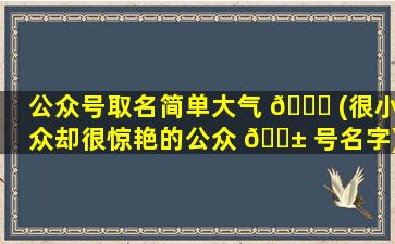 公众号取名简单大气 🐋 (很小众却很惊艳的公众 🐱 号名字)